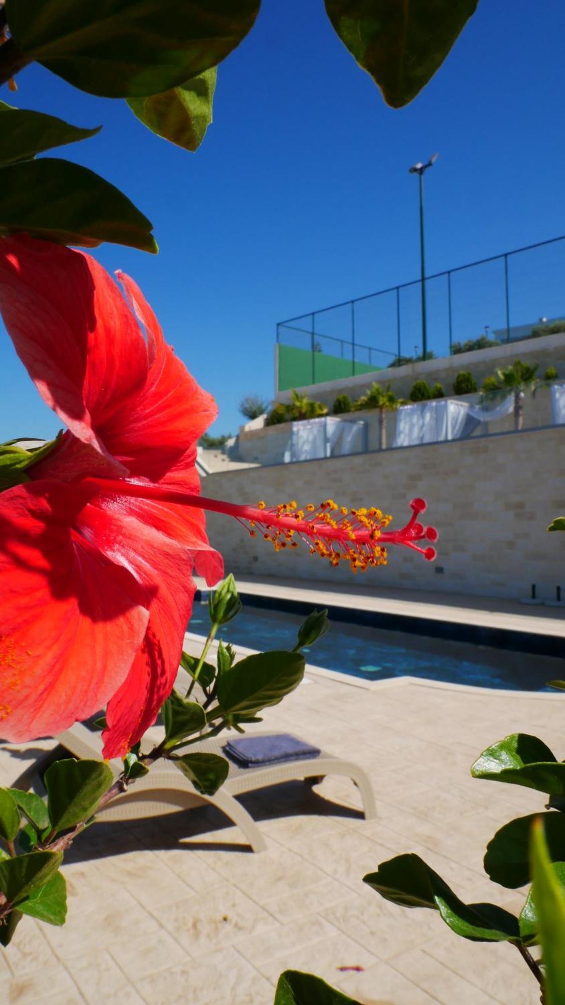 Amour Relax Hotel Almirida Esterno foto